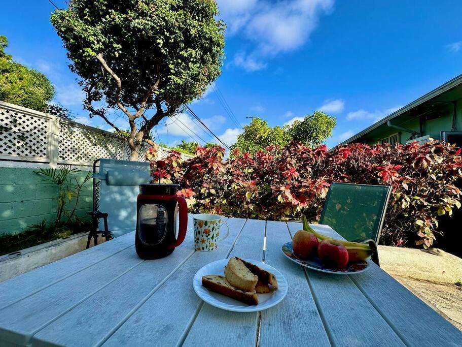 Spacious Light Filled Studio, Modern Renovation * Nassau