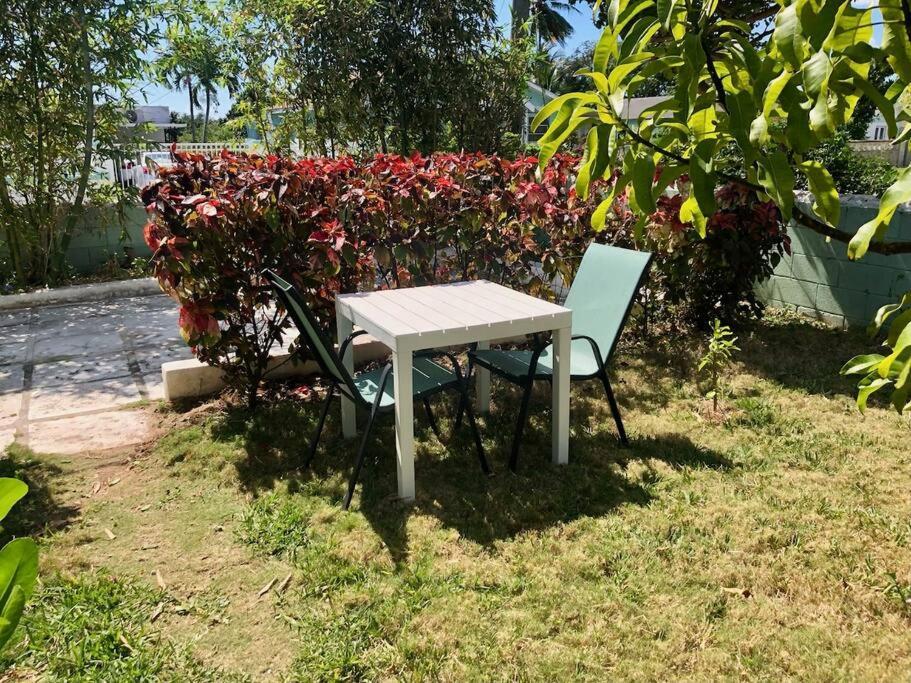 Spacious Light Filled Studio, Modern Renovation * Nassau